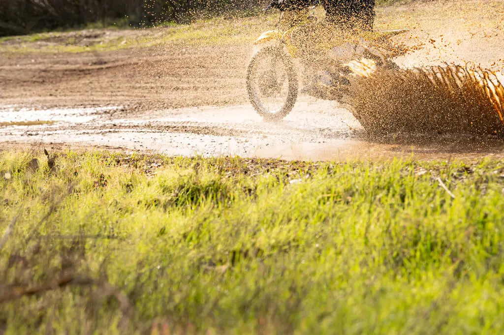 Davey Motorsport